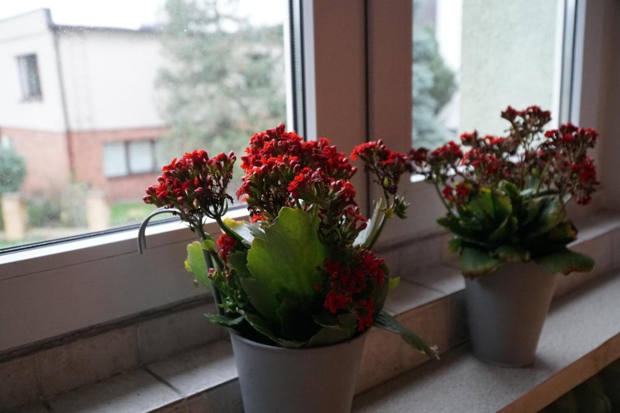 Apartament Paderewski Poznań Esterno foto