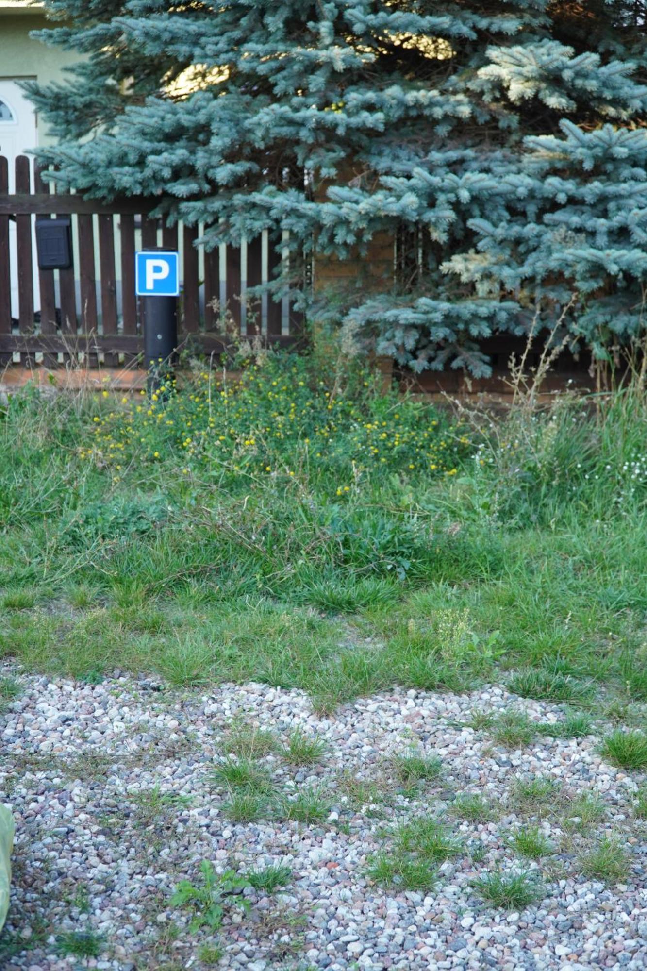 Apartament Paderewski Poznań Esterno foto